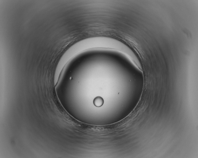 X0000112060121200908251030