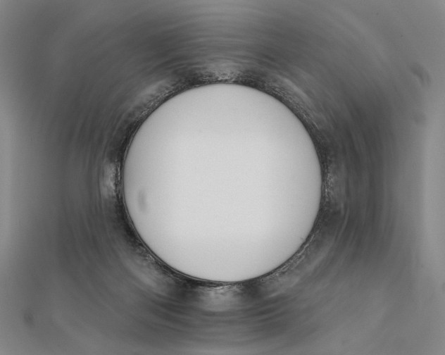 X0000112060122200908251029