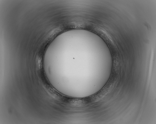 X0000112060123200908251029