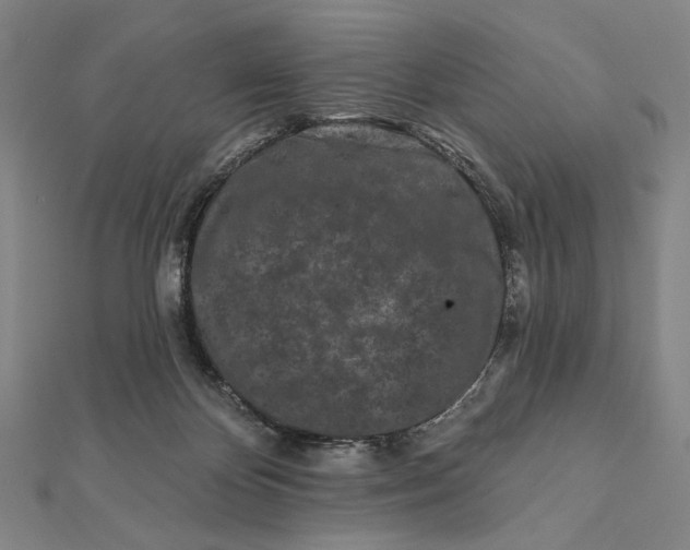 X0000112060124200908251029