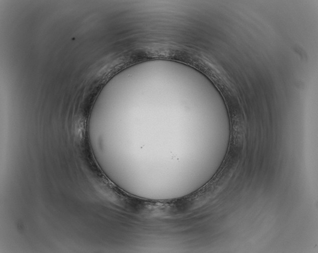 X0000112060125200908251029