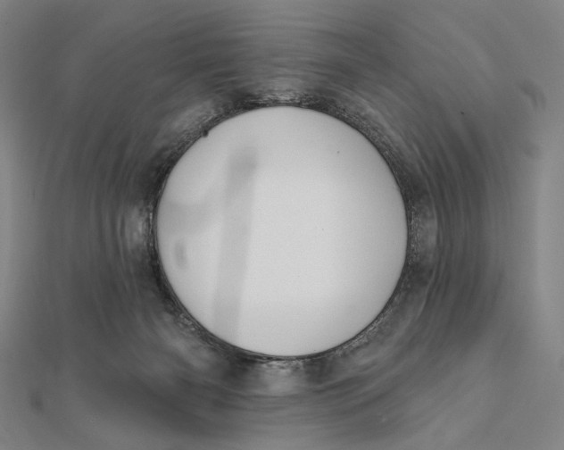 X0000112060126200908251029