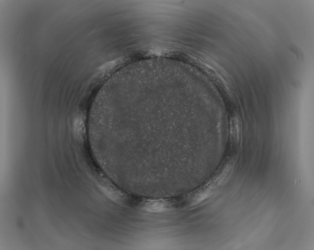 X0000112060127200908251029