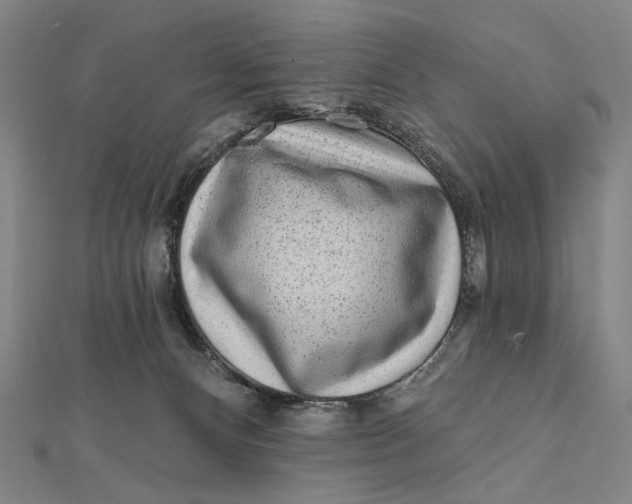 X0000112060128200908251029