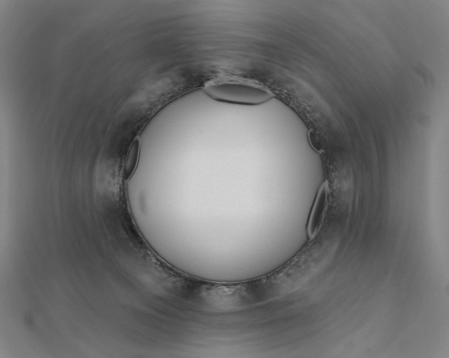 X0000112060129200908251029