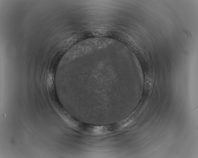 X0000112060130200908251029