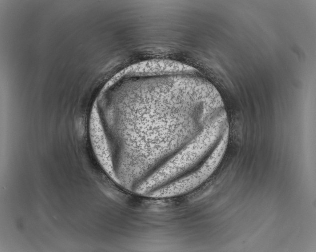 X0000112060131200908251029