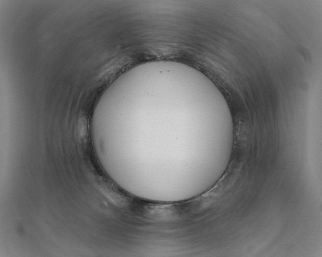 X0000112060132200908251029