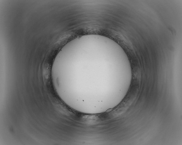 X0000112060133200908251029