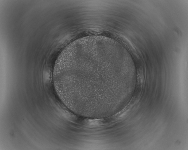 X0000112060134200908251029