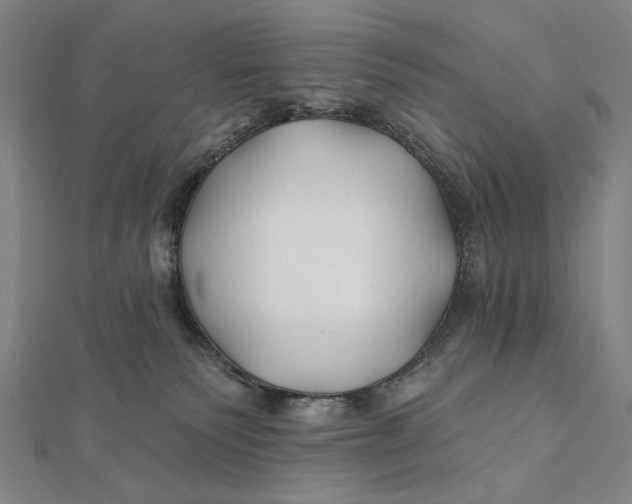 X0000112060135200908251029