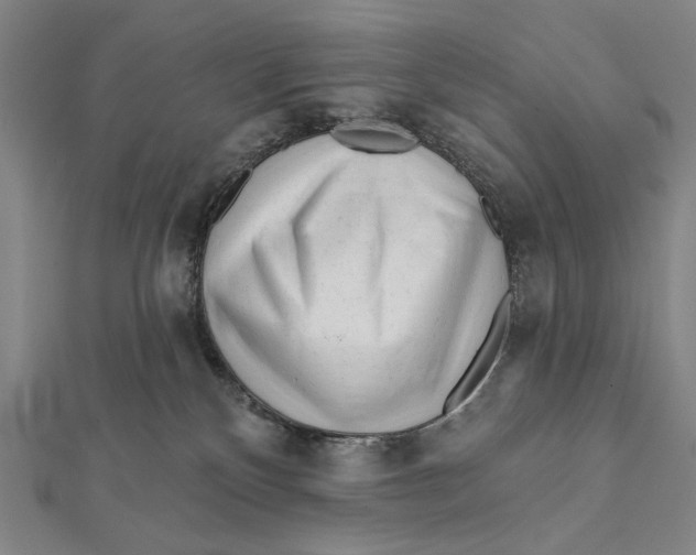 X0000112060136200908251029