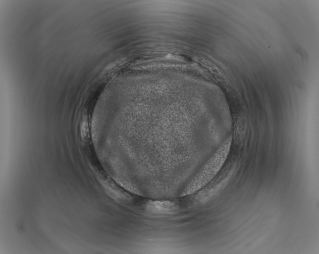 X0000112060137200908251029