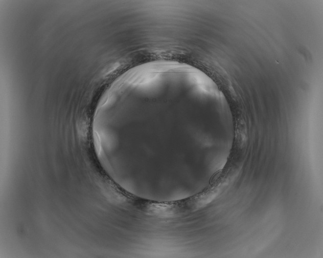 X0000112060139200908251029