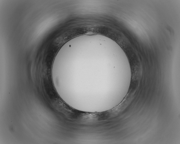 X0000112060140200908251029