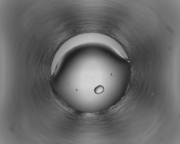 X0000112060141200908251029