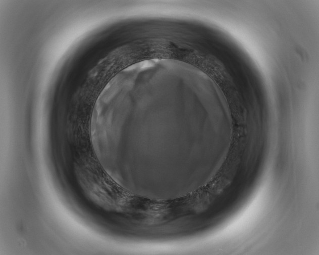 X0000112060143200908251029