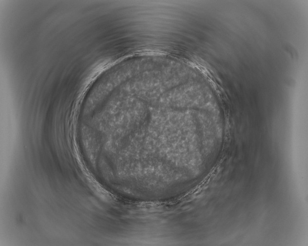 X0000112060145200908251028