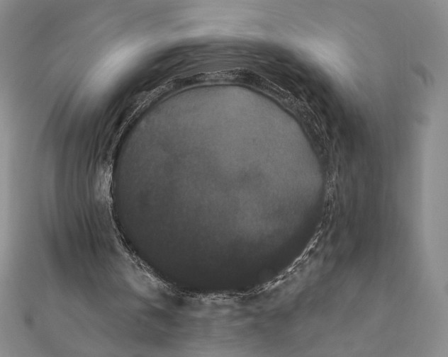 X0000112060146200908251028