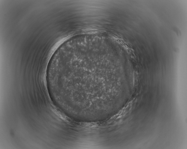 X0000112060147200908251028