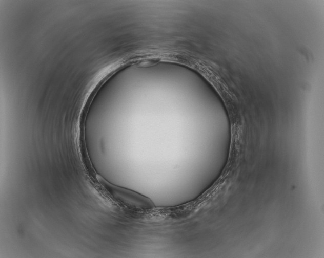 X0000112060148200908251028