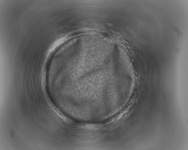 X0000112060149200908251028