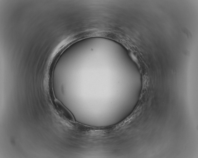 X0000112060150200908251028