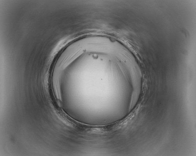 X0000112060151200908251028