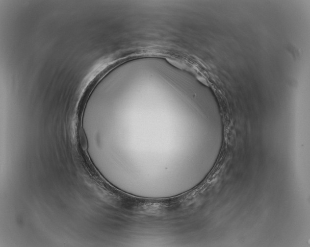 X0000112060152200908251029