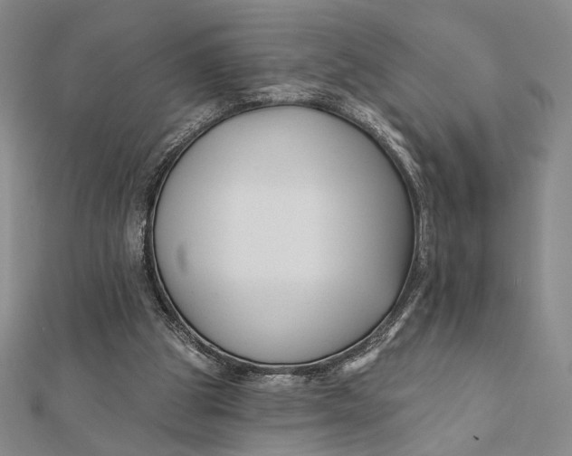 X0000112060153200908251029