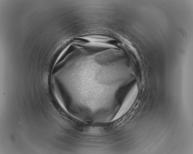 X0000112060154200908251029