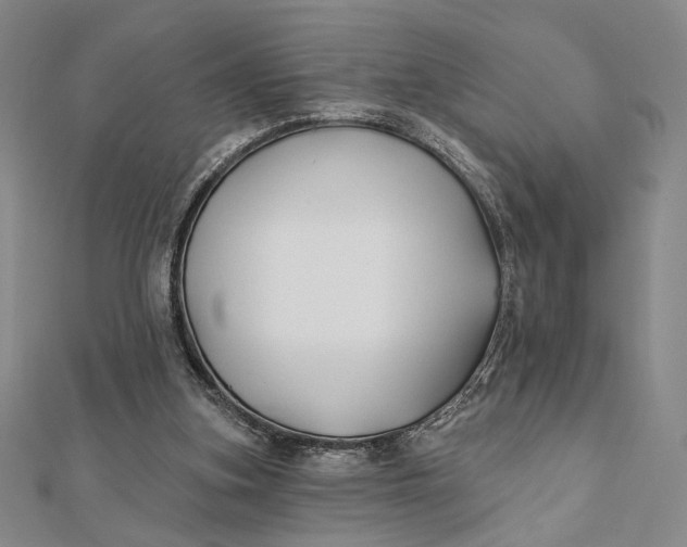 X0000112060155200908251029