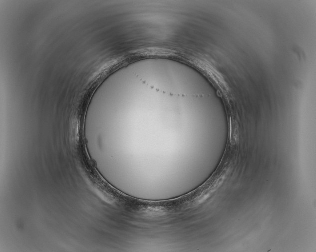 X0000112060157200908251029