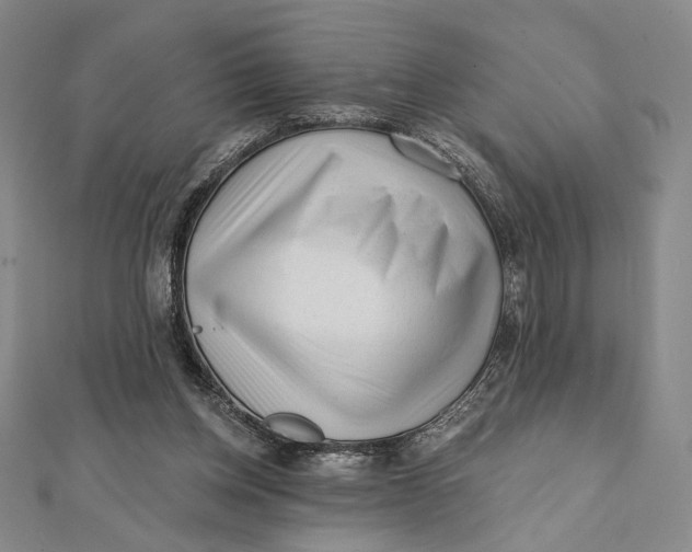 X0000112060158200908251029