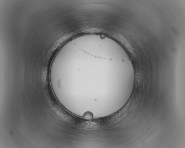 X0000112060159200908251029