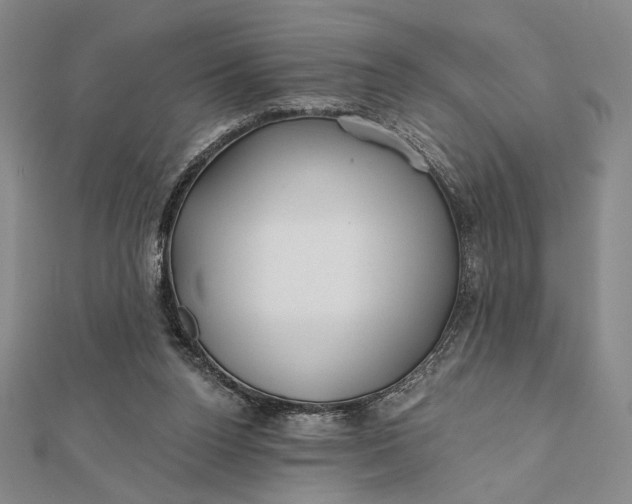 X0000112060160200908251029