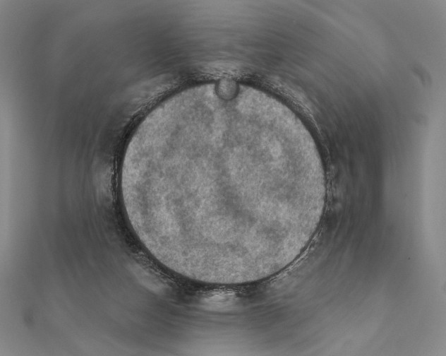 X0000112060162200908251029