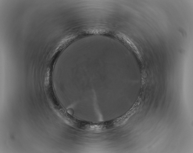 X0000112060163200908251029