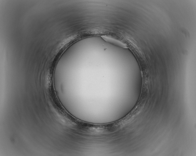 X0000112060164200908251029