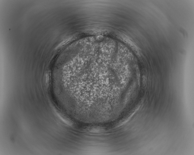 X0000112060165200908251029