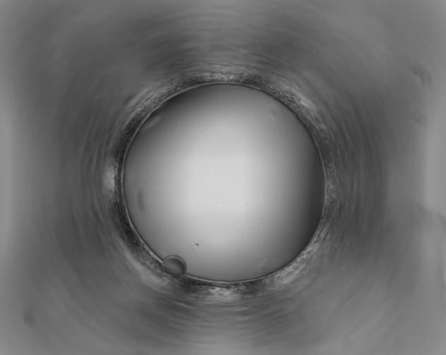 X0000112060166200908251029