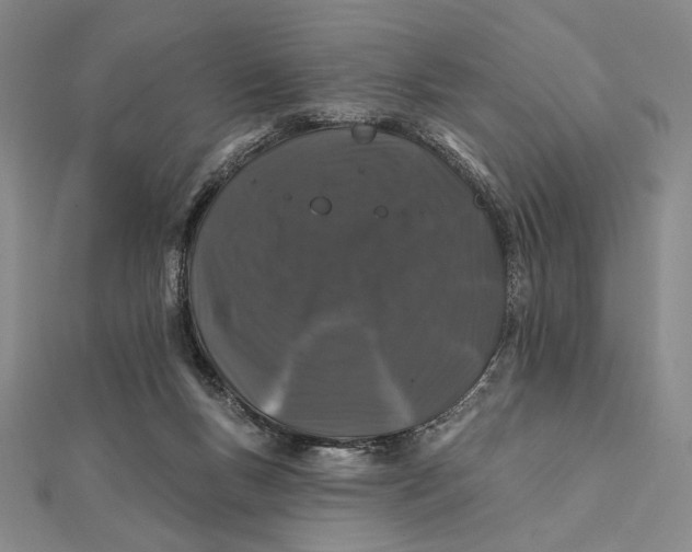 X0000112060167200908251029