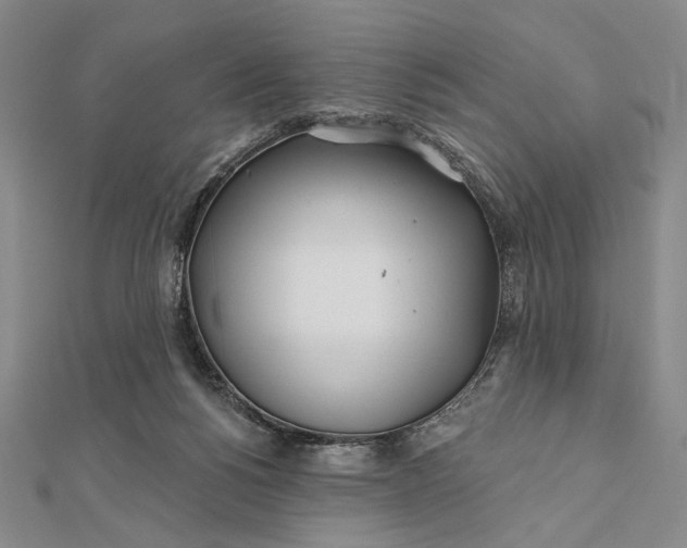 X0000112060168200908251029