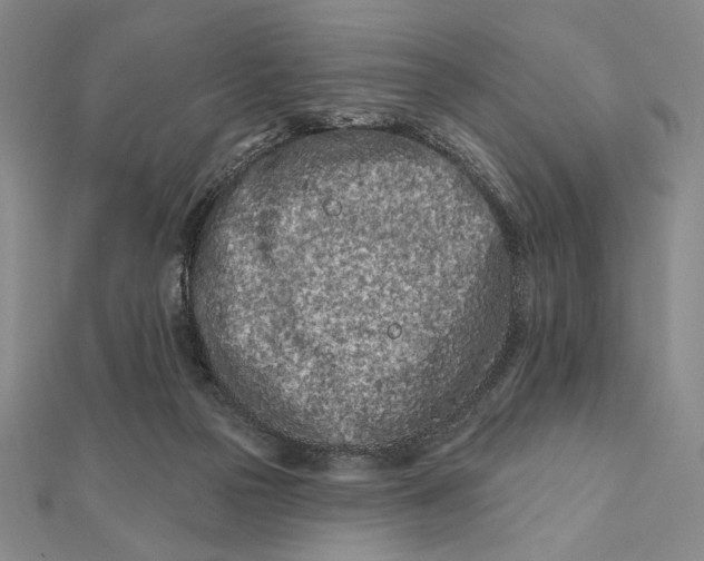 X0000112060169200908251029