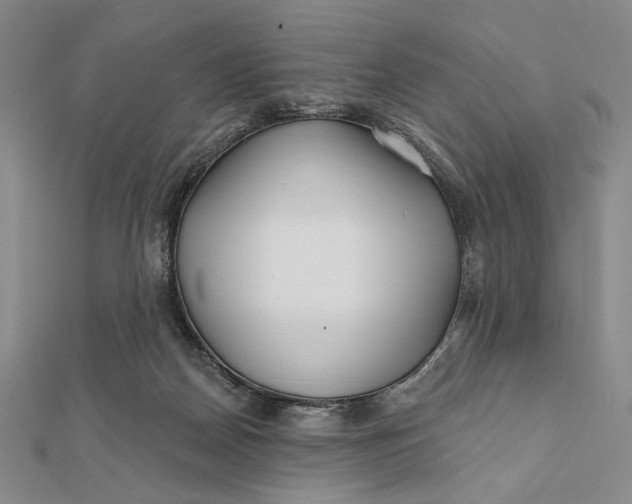 X0000112060170200908251029