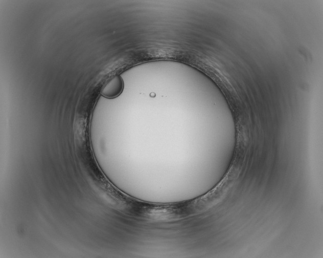 X0000112060171200908251029