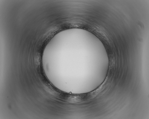 X0000112060174200908251029