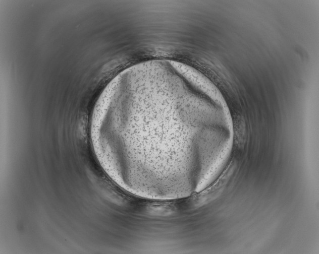 X0000112060175200908251029