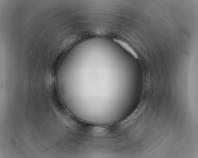 X0000112060176200908251029