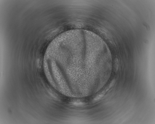 X0000112060177200908251029